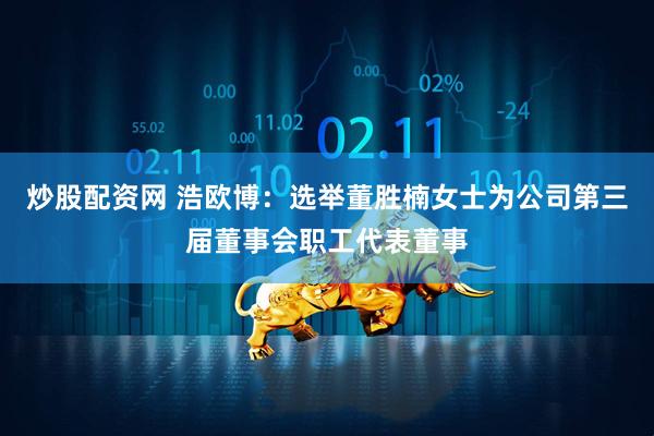 炒股配资网 浩欧博：选举董胜楠女士为公司第三届董事会职工代表董事