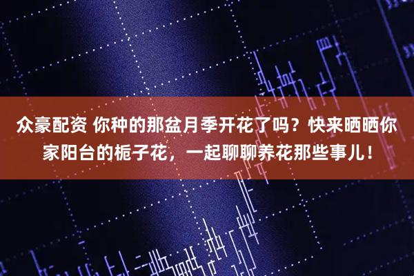 众豪配资 你种的那盆月季开花了吗？快来晒晒你家阳台的栀子花，一起聊聊养花那些事儿！