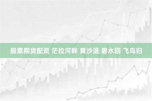 股票期货配资 茫拉河畔 黄沙退 碧水回 飞鸟归